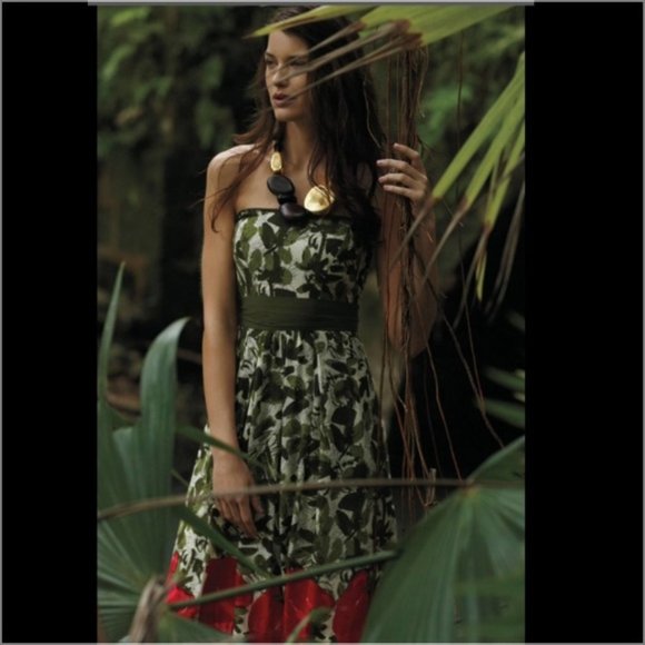 Anthropologie Dresses & Skirts - Anthropologie We Love Vera Berry Months Strawberry Floral Dress